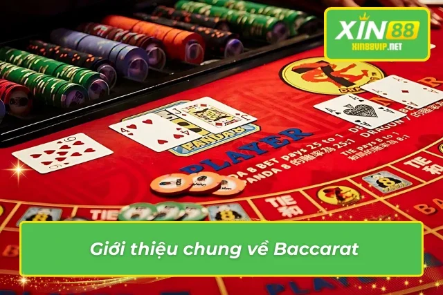 Thông tin nổi bật về Baccara