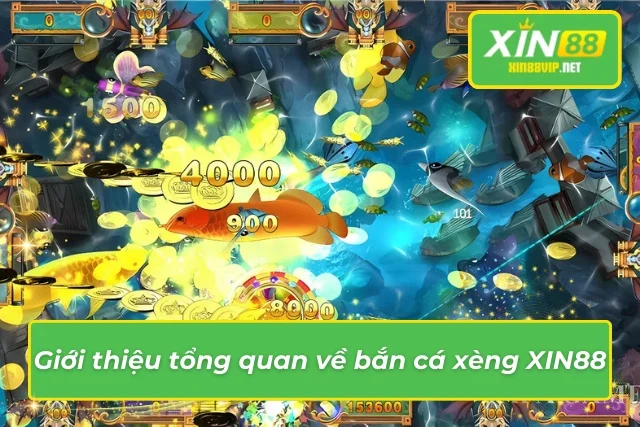 Những thông tin tổng quan không thể bỏ qua về bắn cá xèng tại Xin88