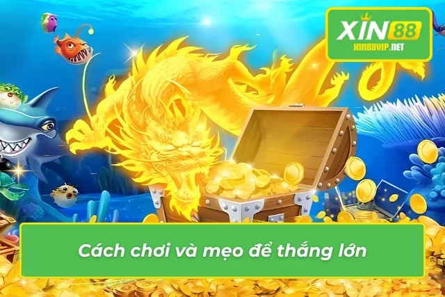 Không thể bỏ qua những cách chơi và mẹo chơi bắn cá xèng