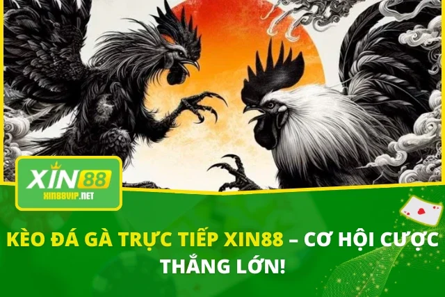 Kèo Đá Gà Trực Tiếp