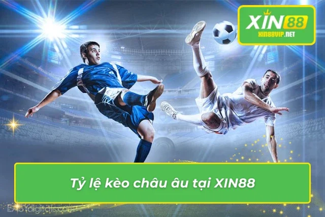 Tìm hiểu về tỷ lệ kèo châu Âu tại nhà cái