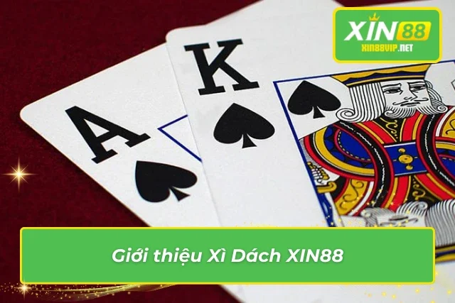 Tổng quan về Blackjack XIN88